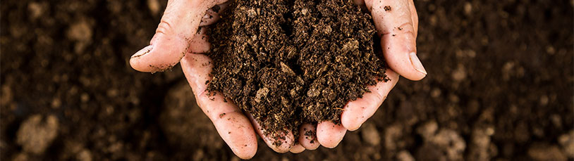 Regels voor bemesten met compost
