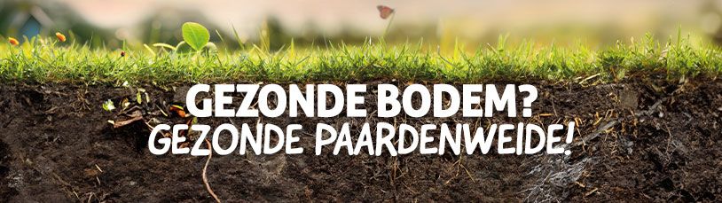 Gezonde bodem? Gezonde paardenweide!