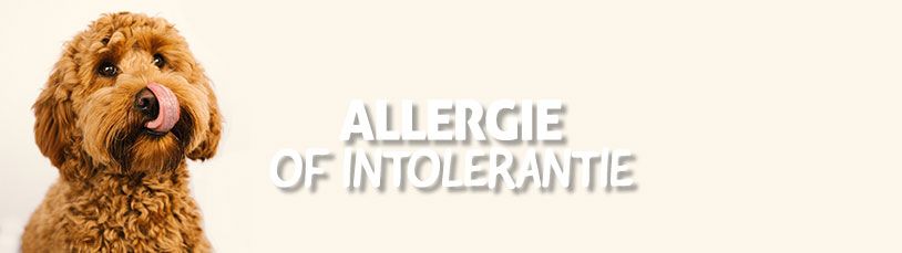 Allergie of intolerantie?