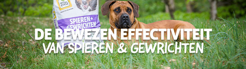 De bewezen effectiviteit van Spieren & Gewrichten