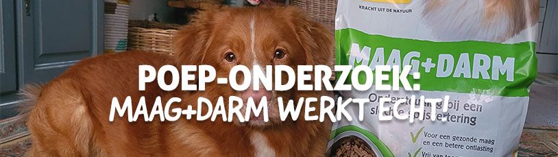 Poep-onderzoek: Maag+Darm bewezen effectief!