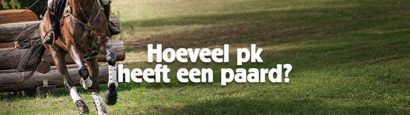 Hoeveel pk heeft een paard? Hoeveel pk heeft een paard?