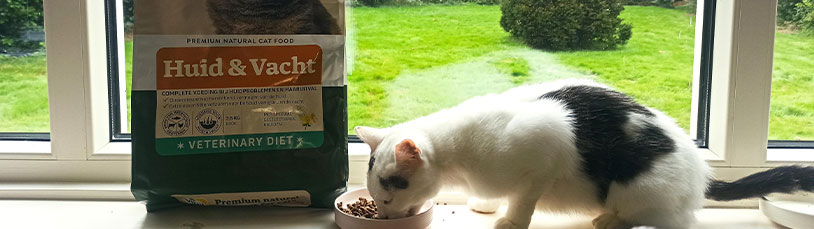 Getest: 3 maanden Huid & Vacht bij katten