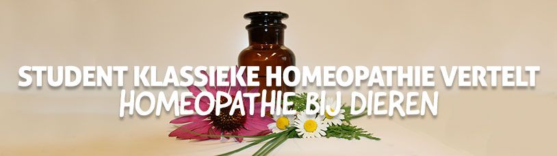 Student Klassieke Homeopathie vertelt: Homeopathie bij dieren