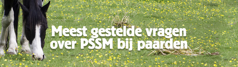 Meest gestelde vragen over PSSM bij paarden