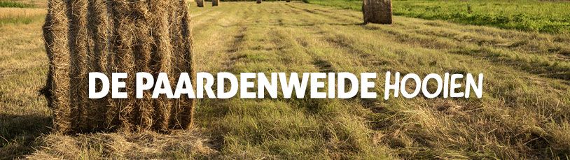 De paardenweide hooien