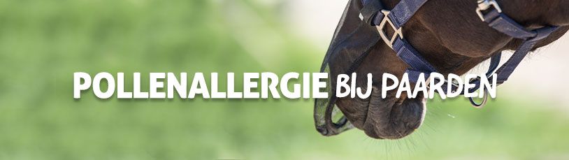 Pollenallergie bij paarden
