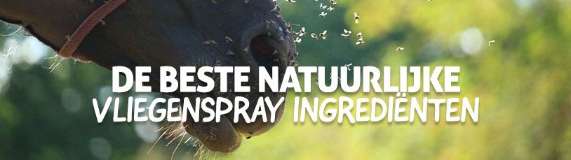 De beste natuurlijke vliegenspray ingrediënten