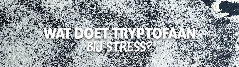 Wat doet Tryptofaan bij stress?