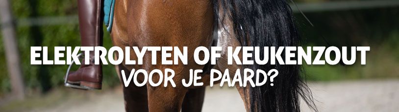 Elektrolyten of keukenzout voor je paard?