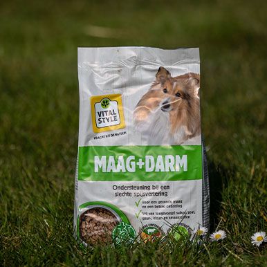 De verteerbaarheid van MAAG+DARM hondenbrokken