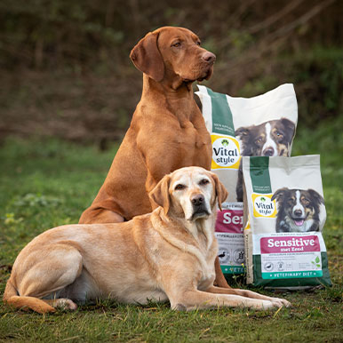 De hondenbrok voor gevoelige honden