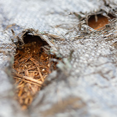 Wat je kunt doen bij slechte kwaliteit ruwvoer