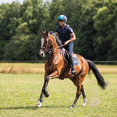 Spieren opbouwen en spieren herstellen bij paarden