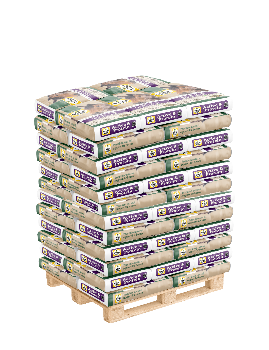 Pallet Muesli Active & Protein