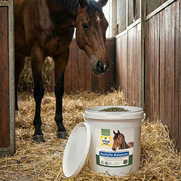 Content image Content image