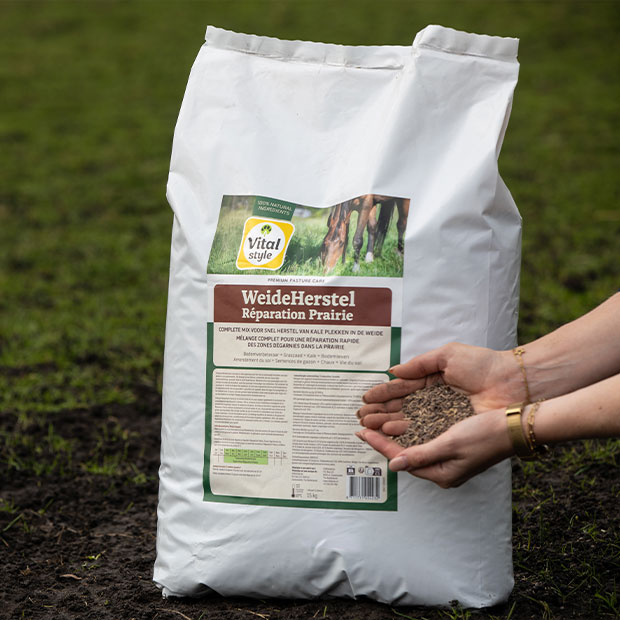 Content image Content image