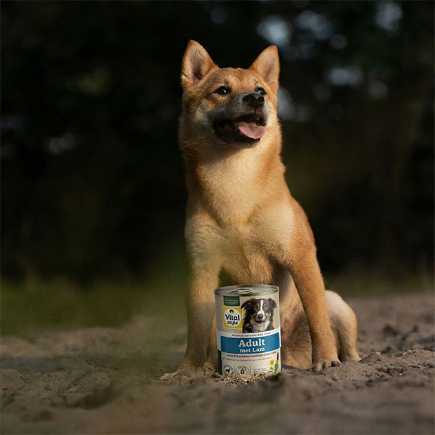 Content image Content image