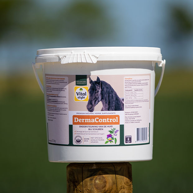 Content image Content image