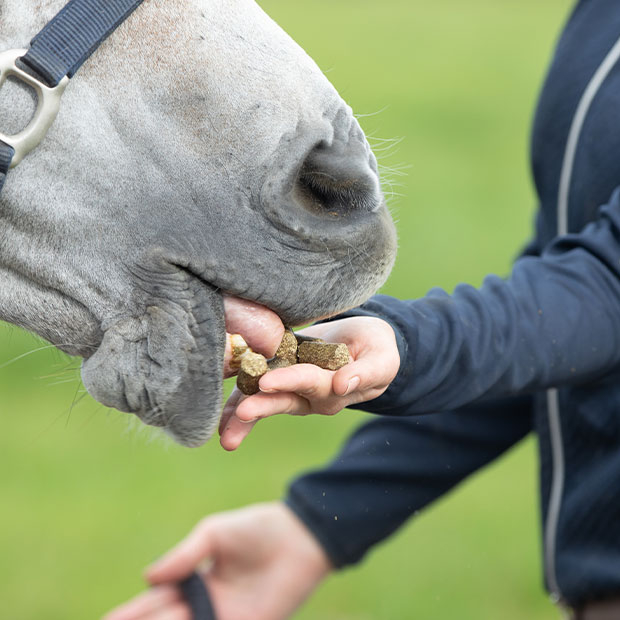 Content image Content image