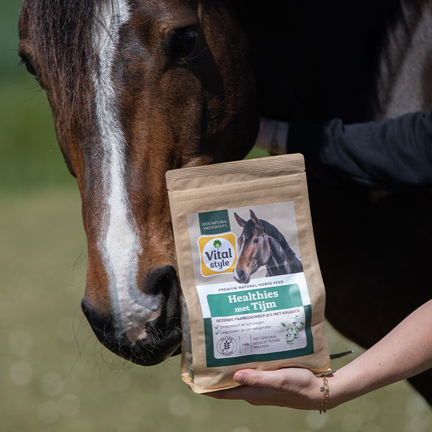 Content image Content image