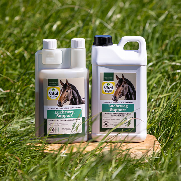 Content image Content image