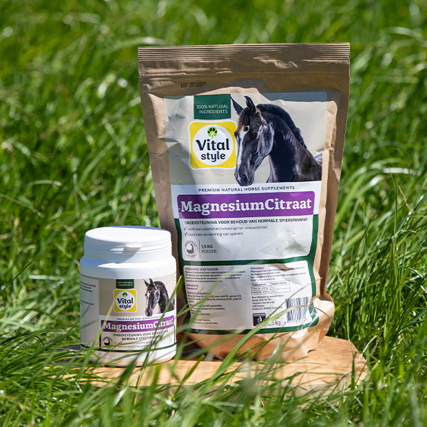 Content image Content image