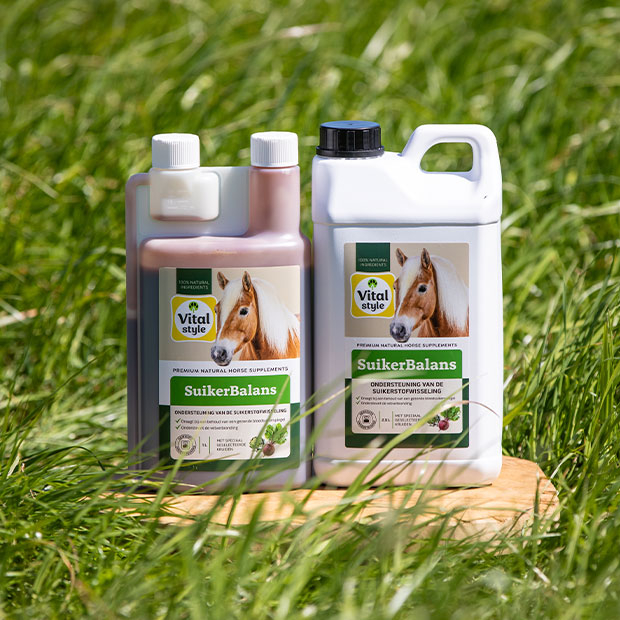 Content image Content image