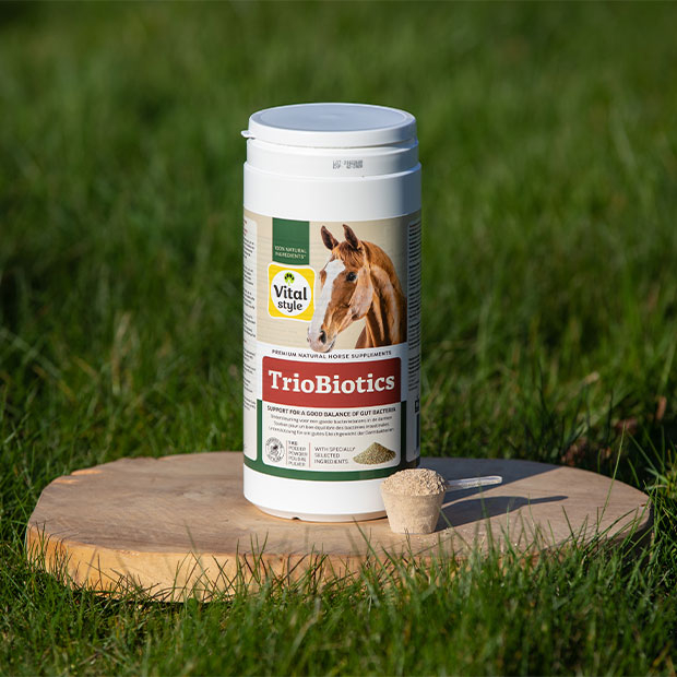 Content image Content image