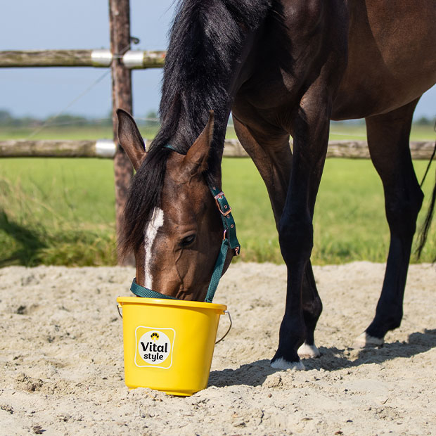 Content image Content image