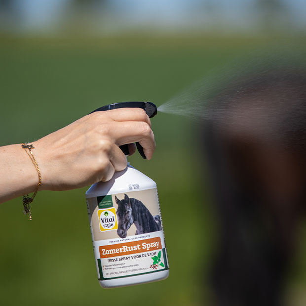 Content image Content image