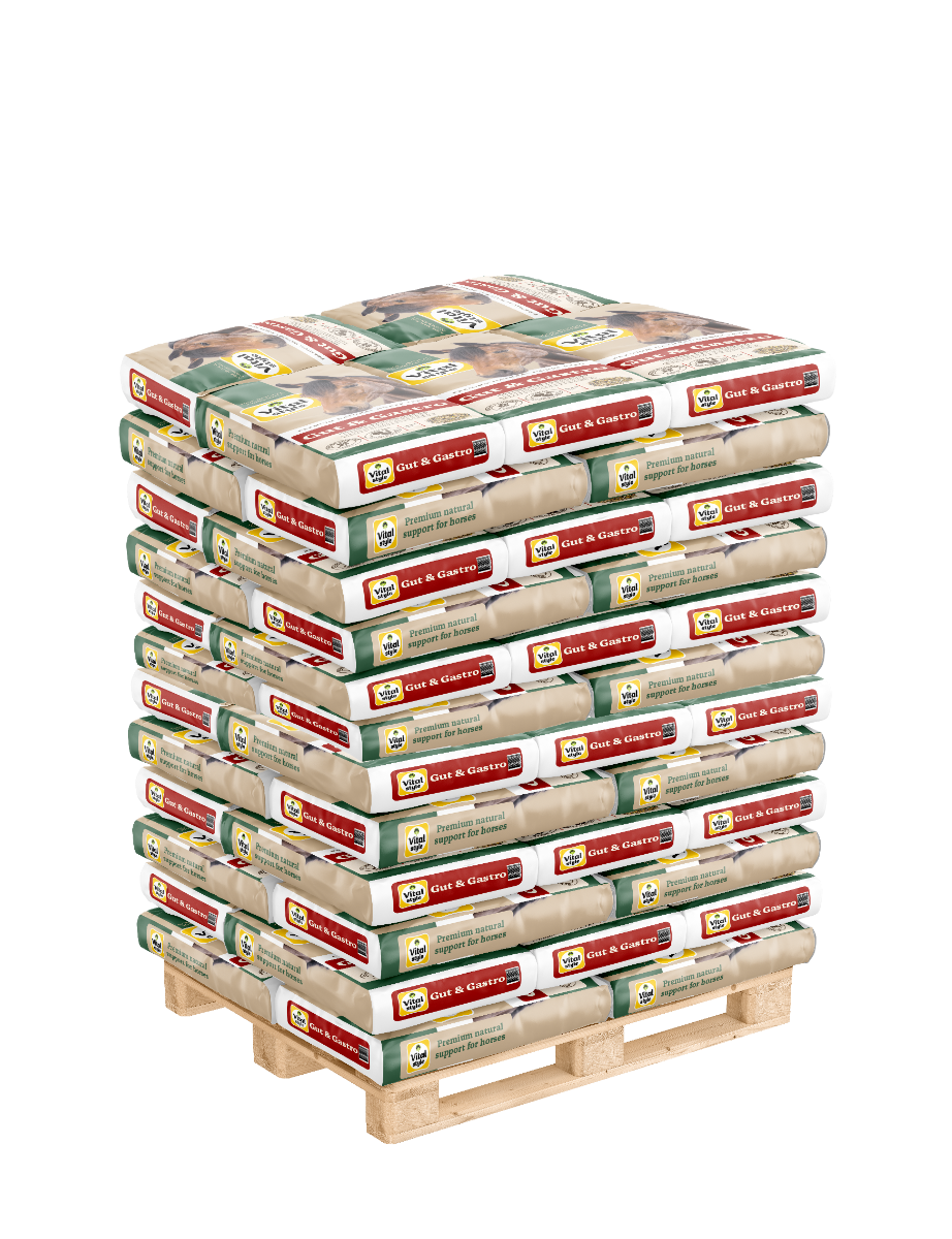 Pallet Muesli Gut & Gastro