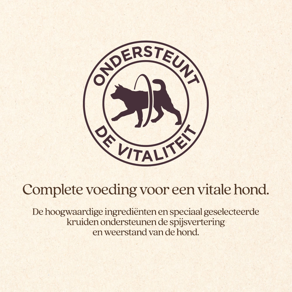 Hond Adult met Kip Natvoer Blik