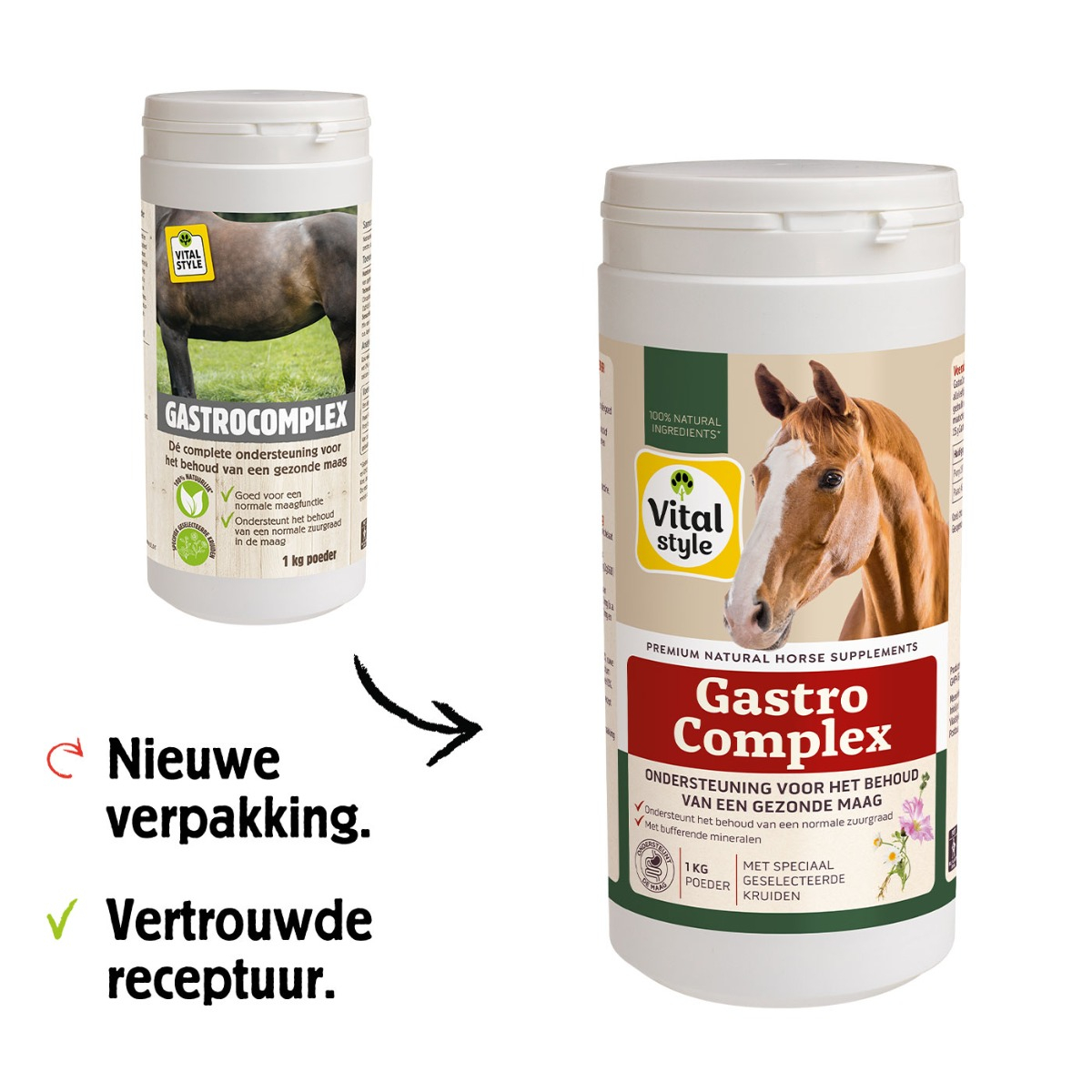 GastroComplex