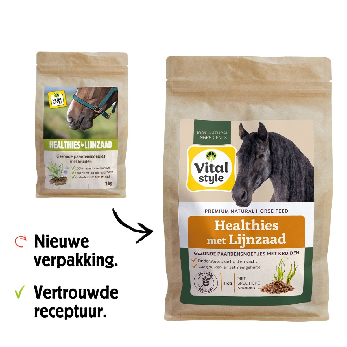 Healthies met Lijnzaad