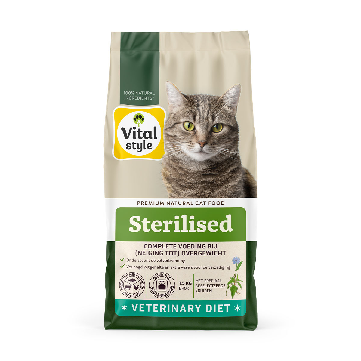 Kat Sterilised Brok
