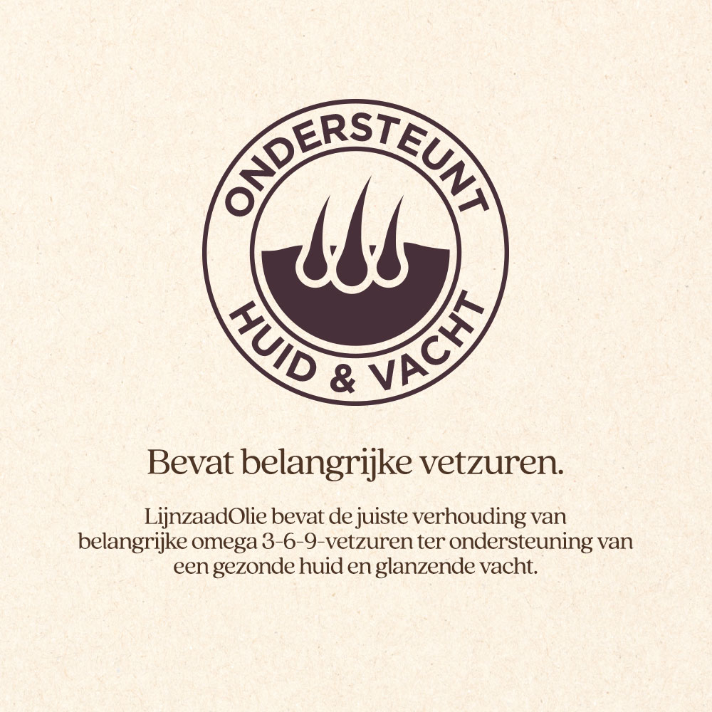 LijnzaadOlie