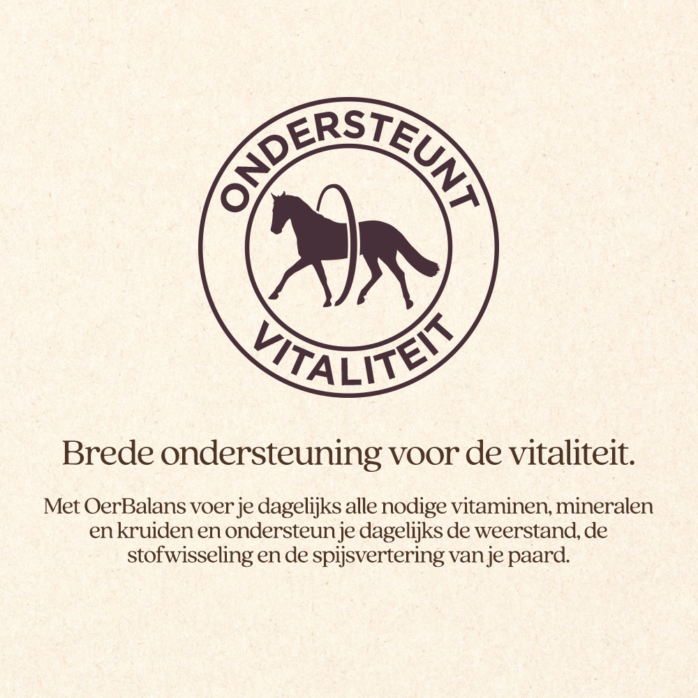 OerBalans