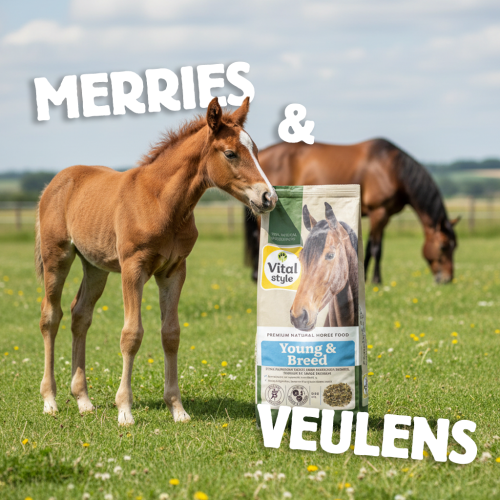 Muesli Young & Breed Muesli Young & Breed