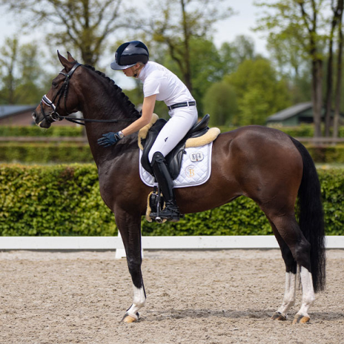 StressControl StressControl