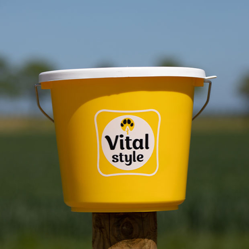 Vitalstyle Voeremmer & Deksel