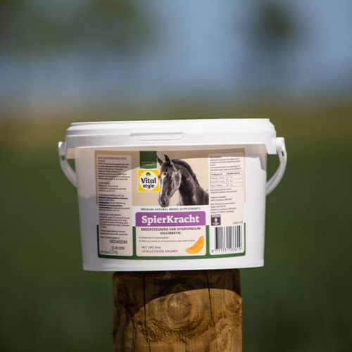 SpierKracht SpierKracht