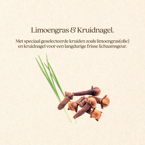 Shampoobar Summer & Lemongrass