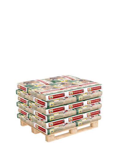 Pallet Muesli Gut & Gastro