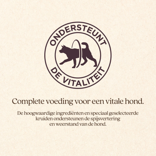 Hond Adult Kleine Brok