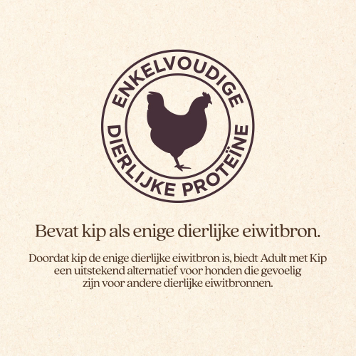 Hond Adult met Kip Natvoer Blik