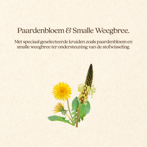 Hond Adult Lam Natvoer Blik Hond Adult Lam Natvoer Blik