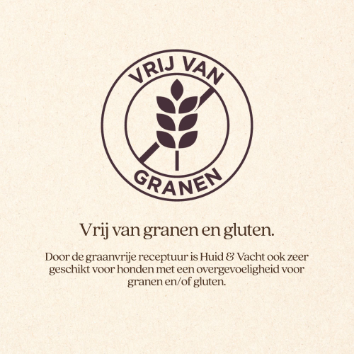 Hond Huid & Vacht Natvoer Blik