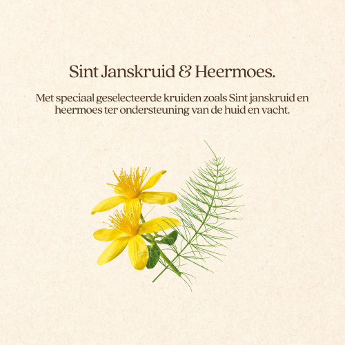 Hond Huid+Vacht Brok