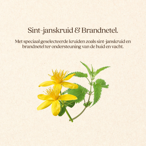 Hond Huid & Vacht Natvoer Blik
